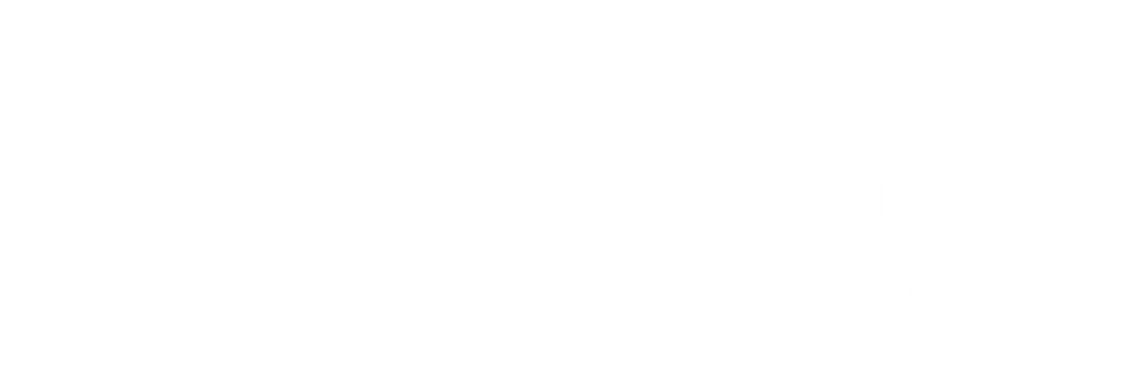 Startup Ventura